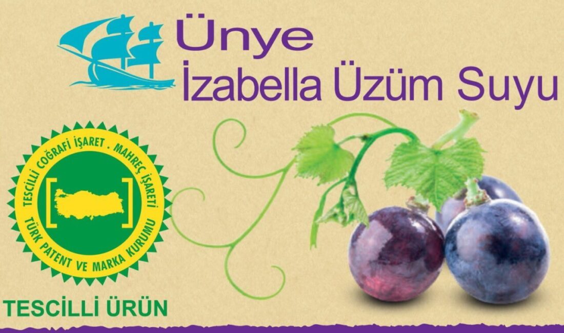 Ünye üzüm suyuna coğrafi tescil Ordu’nun Ünye ilçesinde, bölgenin kendi has lezzetlerini dünya markası haline