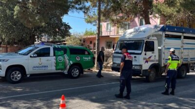 Uşak İl Tarım ve Orman Müdürlüğü ekiplerince il genelinde mesai