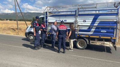 Uşak İl Tarım ve Orman Müdürlüğü ekipleri, şehir içi ve