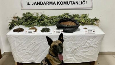 Afyonkarahisar’da jandarma tarafından gerçekleştirilen uyuşturucu operasyonunda bir şahıs ormanlık alana