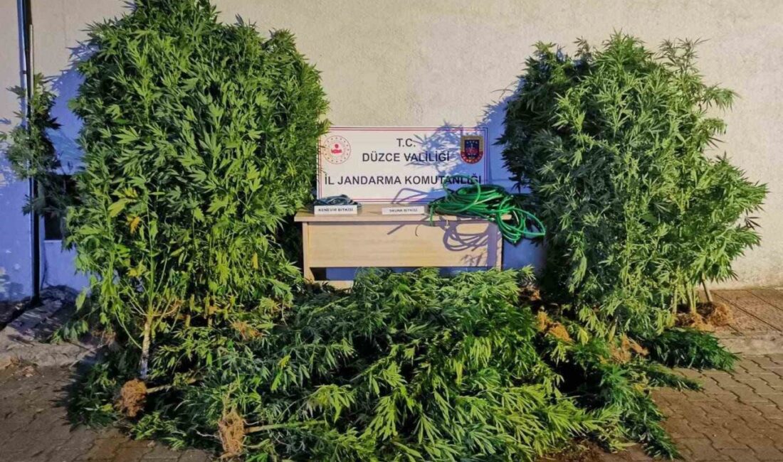 Uyuşturucudan 6 kişi tutuklandı, 44 şahıs hakkında işlem yapıldı Düzce’de narkotik ekiplerince yapılan operasyonlarda 44 kişiye adli işlem yapıldı,