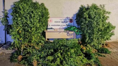 Düzce’de narkotik ekiplerince yapılan operasyonlarda 44 kişiye adli işlem yapıldı,