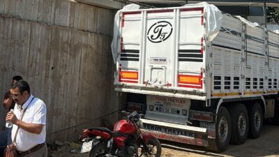 DENİZLİ (İHA) – Denizli’nin Buldan ilçesinde işletmeye üzüm yüklemeye gelen