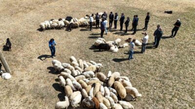 Van Valisi Ozan Balcı, çiftçilere sıfır faizli 5 yıl geri