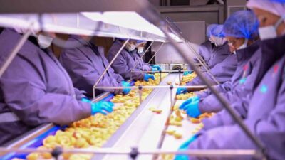 Aydın Valisi Yakup Canbolat, yerli bir gıda firmasının Köşk ilçesindeki