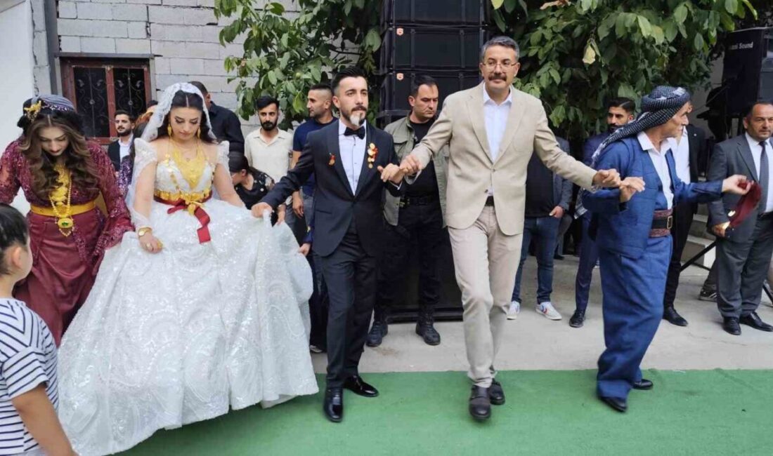 Vali Çelik, Şehit ailesinin düğün törenine katıldı Hakkari Valisi Ali Çelik, Hakkari Şehit ve Gazi Aileleri Derneği