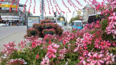 Van Büyükşehir Belediyesi kent estetiğini artırmak ve daha yeşil bir