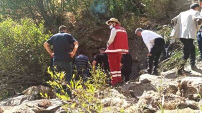 Van’ın Çatak ilçesinde meydana gelen olayda, bir sürüye ait 334