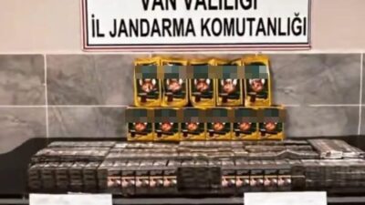 Van’ın Gürpınar ilçesine bağlı Güzelsu Mahallesi’nde jandarma ekiplerinin dikkatli çalışması