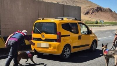 Van’da jandarma ekiplerince yürütülen çalışmalar sonucunda değişik suçlardan 17 kişi