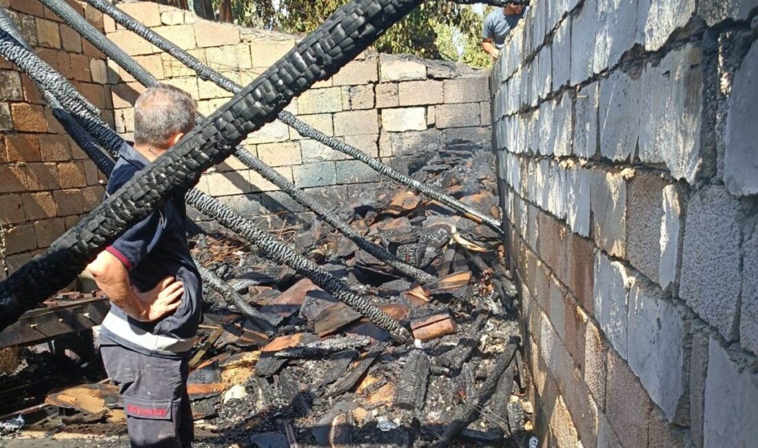Van’da odunluk yangını Van’ın İpekyolu ilçesinde bir odunlukta çıkan yangın, itfaiye ekipleri tarafından