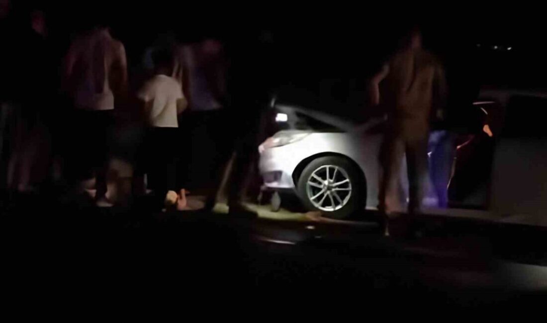 Van’da otomobil sürüye çarptı: 8 koyun telef oldu Van’ın Erciş ilçesinde otomobilin koyun sürüsüne çarpması sonucu 8 koyun