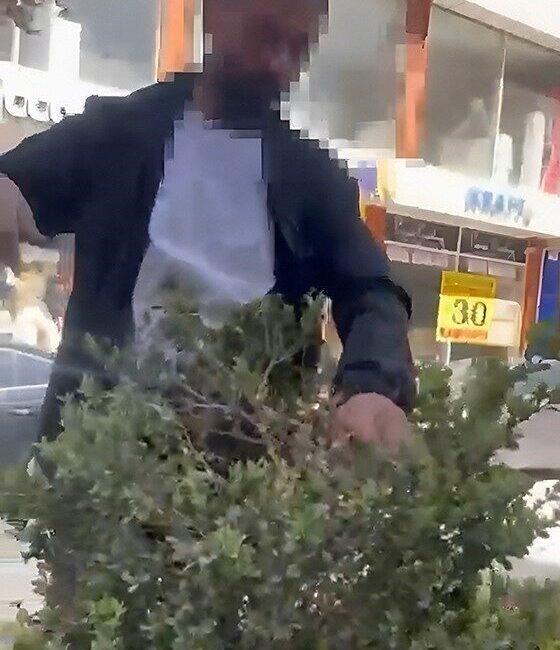 Van’da refüjdeki çiçek ve fidanlara zarar veren şahıs suçüstü yakalandı Van’da refüjdeki çiçek ve fidanlara zarar veren şahıs suçüstü yakalandı.