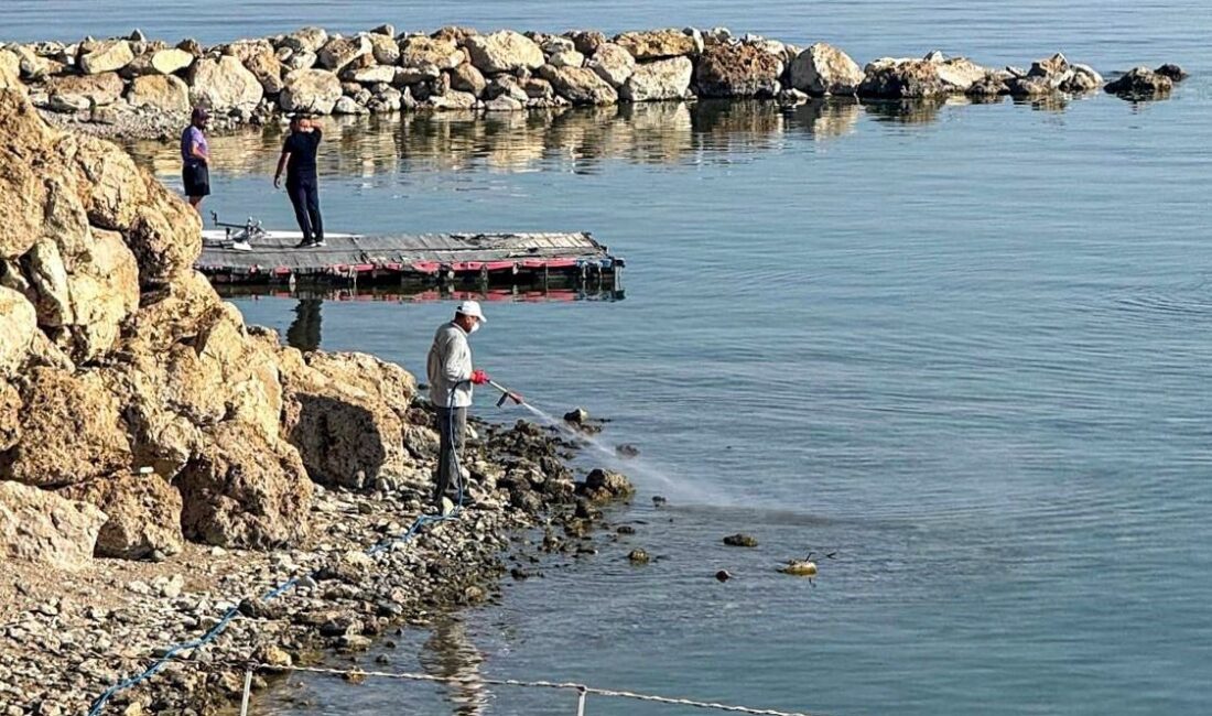 Van’da vektörle mücadele seferberliği Van Büyükşehir Belediyesi, halk sağlığını tehdit eden kent zararlılarına karşı
