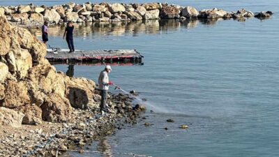 Van Büyükşehir Belediyesi, halk sağlığını tehdit eden kent zararlılarına karşı