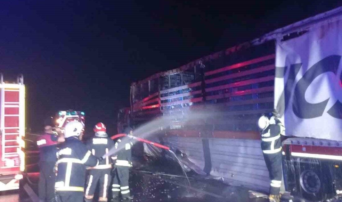 Yalova’da tır yangını Yalova’nın Altınova ilçesinde, Gebze-İzmir-İstanbul bağlantı yolları üzerinde seyir halindeki bir