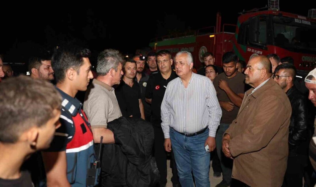 Yangın yaklaşık 1 hektarlık alanda etkili oldu DÜZCE(İHA) – Düzce’nin Yığılca ilçesinde dün akşam saatlerinde çıkan yangın