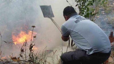 Edirne’de barakaların ve arı kovanlarının alevlere teslim olduğu yangının diğer