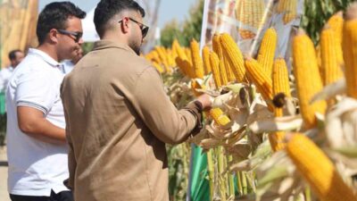 Türkiye’de farklı iklim şartlarına sahip 5 bölgede 5 Ar-Ge merkezinde,