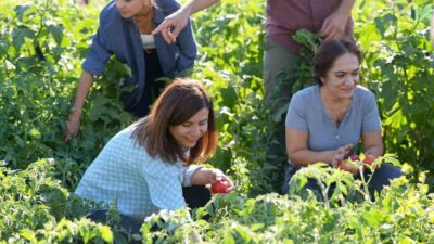 Diyarbakır Büyükşehir Belediyesi, doğa dostu üretim anlayışıyla yerel tohumlarla yetiştirilen
