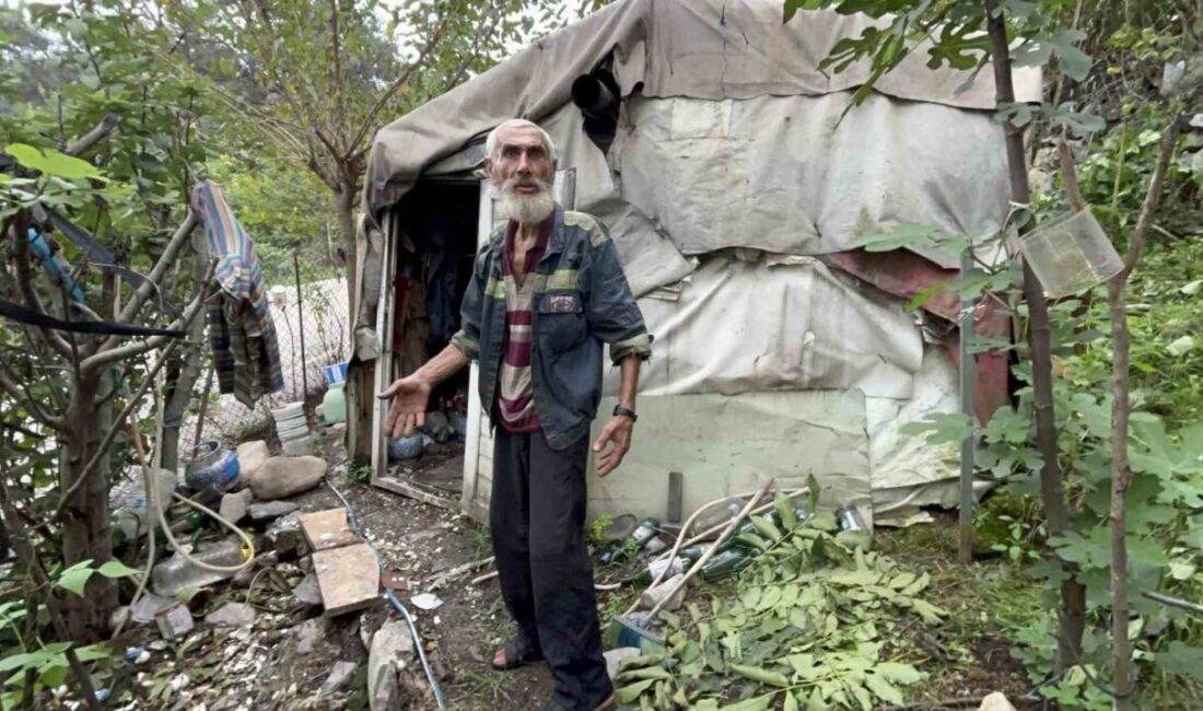 Yıllardır yalnız başına yaşamını çadırda sürdüren yaşlı adam yeni yuvası olan konteynerine kavuştu Hatay’da uzun yıllardır yalnız başına çadırda yaşayan ve ısrarlara rağmen