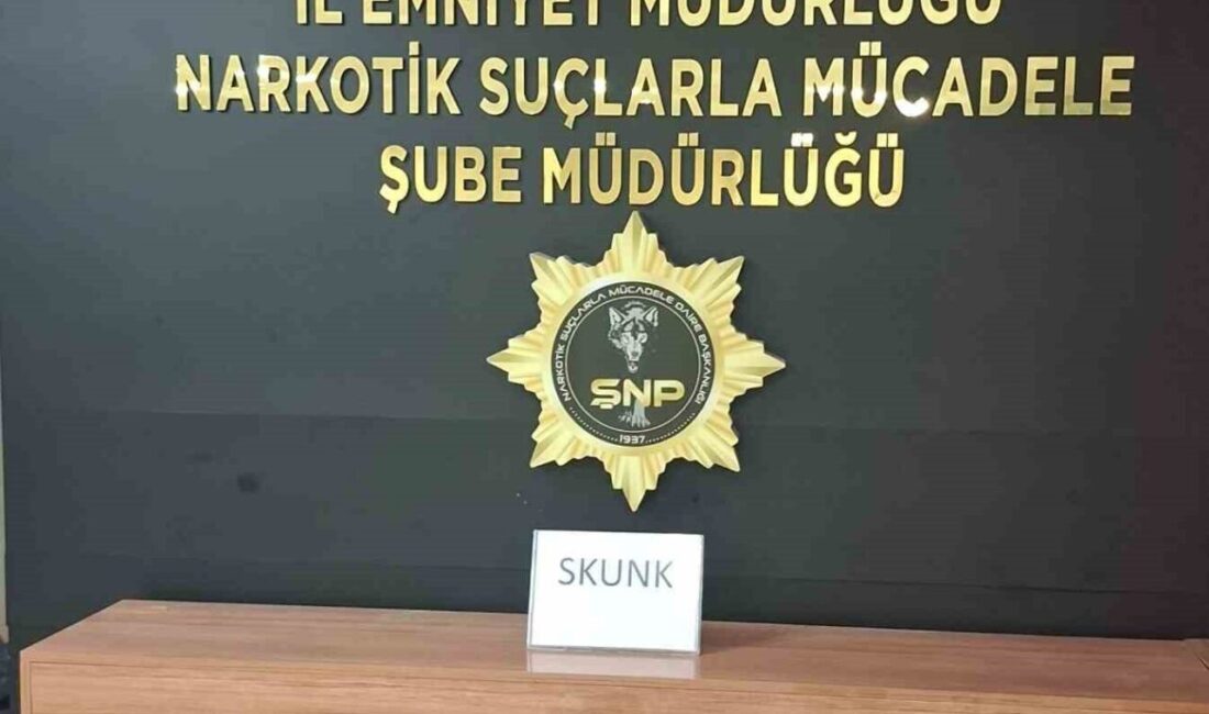 Yolcunun çantasından uyuşturucu çıktı Şanlıurfa da otobüsteki yolcunun çantasından 1 kilogram skunk maddesi çıktı.