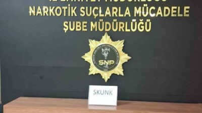 Şanlıurfa da otobüsteki yolcunun çantasından 1 kilogram skunk maddesi çıktı.
