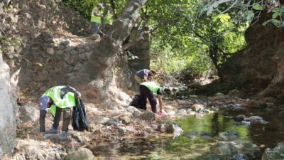 Mardin Büyükşehir Belediyesi Çevre Koruma ve Kontrol Daire Başkanlığı, Kızıltepe