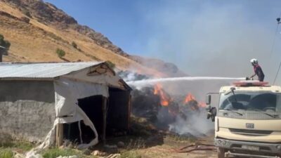 Hakkari’nin Yüksekova ilçesinde çıkan yangında 20 bin bağ otu yandı.