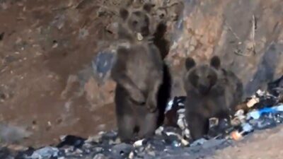 HAKKARİ (İHA) – Hakkari’nin Yüksekova ilçesine bağlı Dağlıca köyü yakınlarındaki