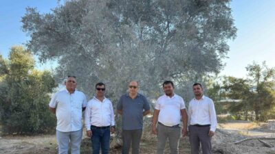 Muğla’nın Milas ilçesindeki maden sahalarında 7554 sayılı Bazı Kanunlarda Değişiklik