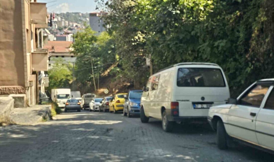 Zonguldak’ta hatalı park çileden çıkarttı; vatandaşlar ’duba’ istiyor Zonguldak’ta park yasağı tabelasına rağmen yol kenarına bırakılan araçlar, trafiği