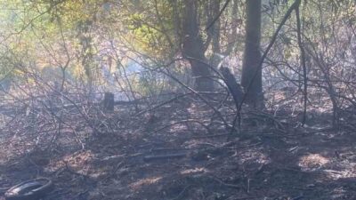 Zonguldak’ta merkeze bağlı Asma Mahallesi’nde ormanlık alanda çıkan yangın ekiplerin