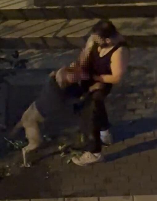 Bahçelievler’de pitbull cinsi köpek sahibine saldırdı: Dehşet anları kamerada İstanbul Bahçelievler’de pitbull cinsi köpek sahibine saldırdı. Adamın kolunu ısıran