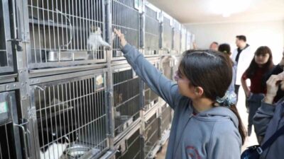 Gaziosmanpaşa Belediyesi tarafından 4 Ekim Dünya Hayvanları Koruma Günü’ne özel