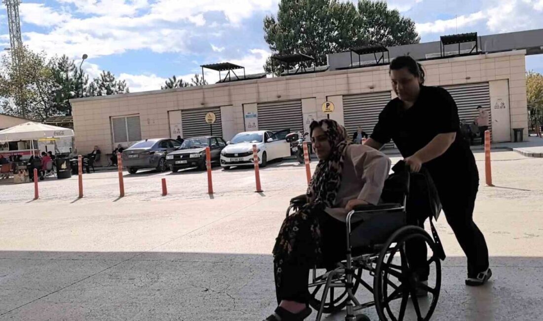 Piknik yaparken yılan ısırdı, hastaneye kaldırıldı Bursa’nın İnegöl ilçesinde hobi bahçesinde piknik yaparken yılanın ısırdığı kadın