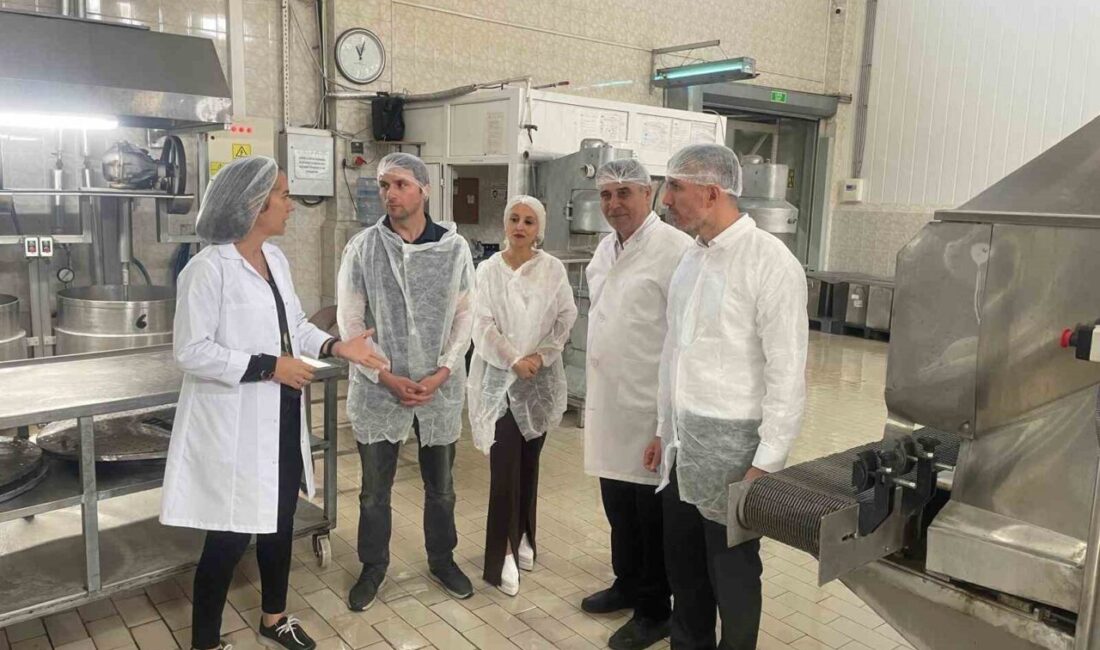 TKDK, ’Kardelen örnek niteliği taşıyor” Tarım ve Kırsal Kalkınmayı Destekleme Kurumu (TKDK) Bursa İl Koordinatörlüğü,