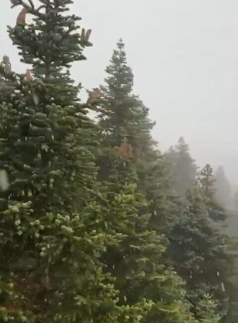 Uludağ’da ilk kar yağışı böyle görüntülendi Havaların aniden soğumasıyla birlikte, Uludağ’da kar yağışı etkili oldu. Bursa’da