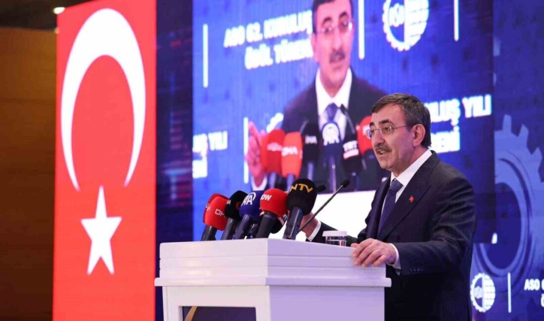 Cumhurbaşkanı Yardımcısı Cevdet Yılmaz, “Bu ayın enflasyonunun iyi bir noktada