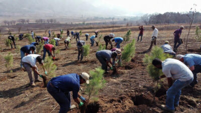 11 Kasım 2025 tarihinde Türkiye, diplomasi ve spor gündeminin yanı