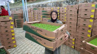 Gebze’de tarımsal üretimi güçlendirmek ve maliyetlerini azaltmak amacıyla çiftçilere toplam