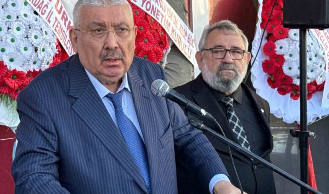 Milliyetçi Hareket Partisi Genel Başkan Yardımcısı Prof. Dr. Edip Semih