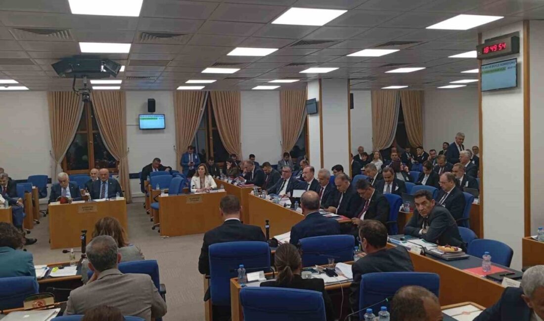 TBMM Plan ve Bütçe Komisyonu’nda konuşan DEM Parti Siirt Milletvekili