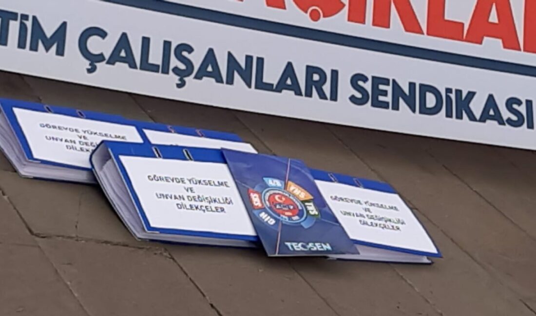 Tüm Eğitim Çalışanları Sendikası (TEÇ-SEN) ile Devlet Memurları Konfederasyonu (DMK)