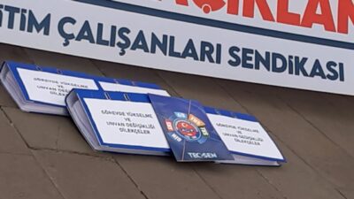 Tüm Eğitim Çalışanları Sendikası (TEÇ-SEN) ile Devlet Memurları Konfederasyonu (DMK)