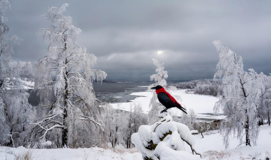 19 Aralık 2025 tarihinde Türkiye, diplomasi ve spor gündeminin yanı