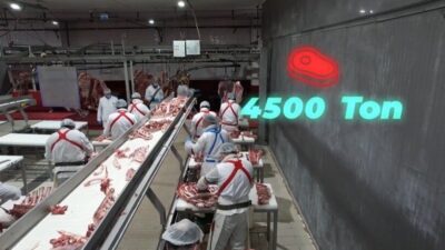 Tarım ve Orman Bakanı İbrahim Yumaklı, “Bin 250 kişiye istihdam,