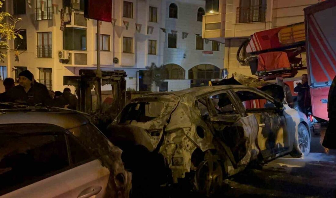 Eyüpsultan’da park halindeki iki araç henüz bilinmeyen bir sebeple alevlere