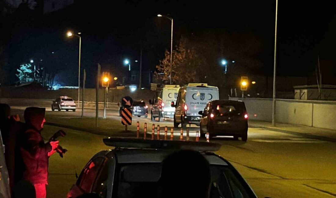 Ankara’nın Haymana ilçesinde düşen uçakta hayatını kaybeden Libya heyetinin Adli