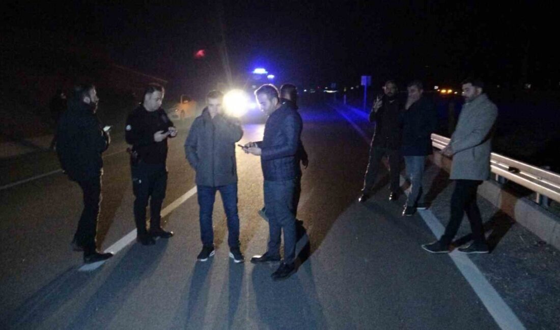 Malatya’nın Akçadağ ilçesinde Sultansuyu Tarım İşletmesi’nde yetiştirilen yarış atları, bilinmeyen